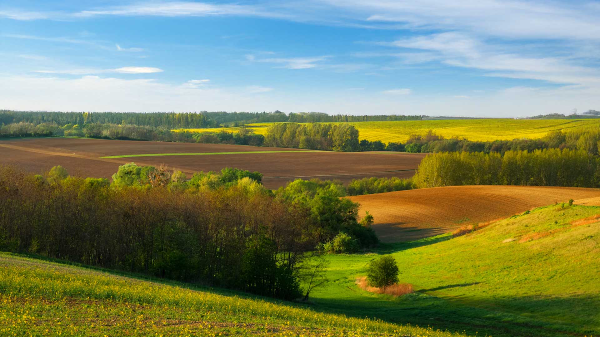 Agrargenossenschaft vs. Prüfverband